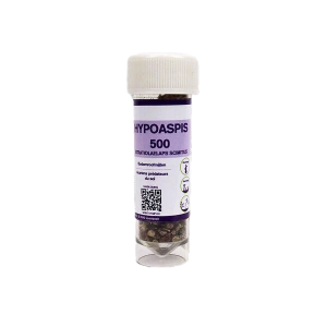 Hypoaspis 10.000 st