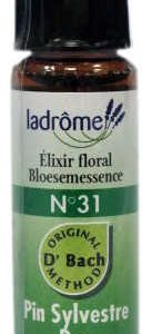 LaDrôme Laboratoire Bachbloesems 31: Den - Pine, bio