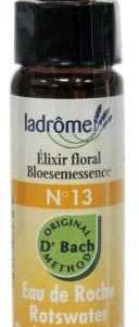 LaDrôme Laboratoire Bachbloesems 13: Rotswater - Rock water, bio