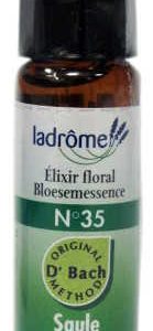 LaDrôme Laboratoire Bachbloesems 35: Wilg - Willow, bio