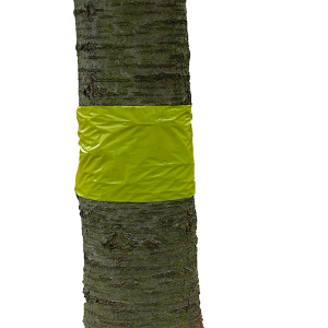 Gele lijmband | 5m x 30cm