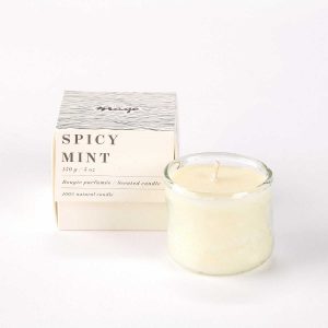 Mage Geurkaars bijenwas Spicy Mint - Small, bio