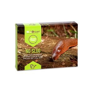 No-slug-40 m²